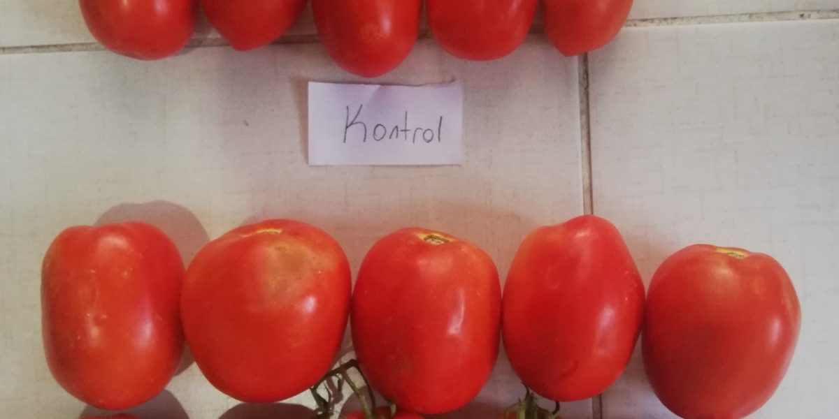 ÜST KONTROL-ALT UYGULAMA